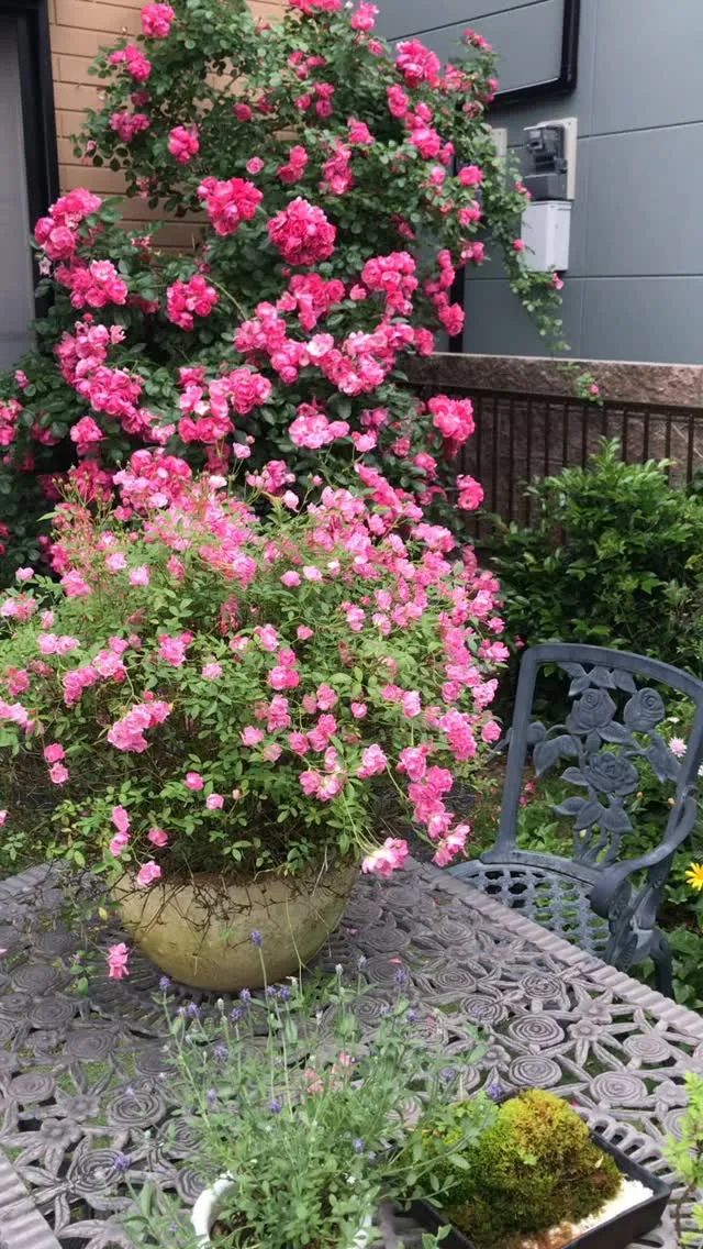 アトリエミルフルールの松下です。